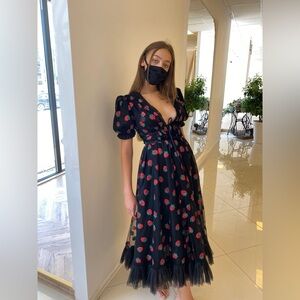 lirika matoshi strawberry dress large perfect condition